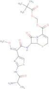 Ceftizoxime alapivoxil