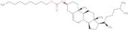 Cholesterol Nonyl Carbonate