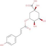 3-p-Coumaroylquinic acid