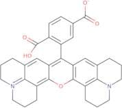 6-Carboxy-X-rhodamine