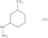 (3-Methylcyclohexyl)hydrazine hydrochloride