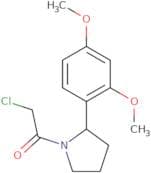 2-Chloro-1-[2-(2,4-dimethoxyphenyl)pyrrolidin-1-yl]ethan-1-one