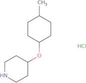 4-[(4-Methylcyclohexyl)oxy]piperidine hydrochloride