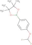 4-Difluoromethoxyphenylboronic acid pinacol ester