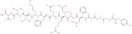 Dynorphin B