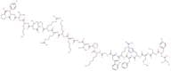(Des-Glu5)-ACTH (1-24) (human, bovine, rat) trifluoroacetate salt