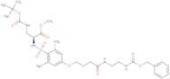 [2,6-Dimethyl-4-(3-[2-(Z-amino)-ethylcarbamoyl]-propoxy)-benzenesulfonyl]-Dap (Boc)-OMe