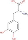 D-DOPA