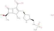 Doripenem monohydrate