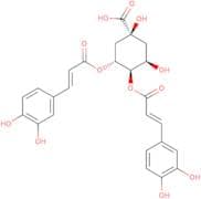 3,4-Dicaffeoylquinic acid