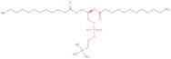 1,2-Dilauroyl-sn-glycero-3-phosphocholine
