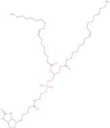 1,2-Dioleoyl-sn-glycero-3-phosphatidylethanolamino (+)-biotin