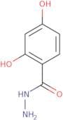 2,4-Dihydroxybenzoic acid hydrazide