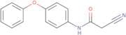 2-Cyano-N-(4-phenoxyphenyl)acetamide