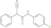 N-(4-Chlorophenyl)-2-cyano-2-phenylacetamide