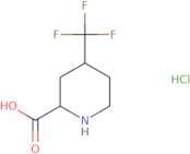4-(Trifluoromethyl)piperidine-2-carboxylic acid hydrochloride