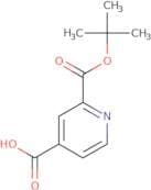 2-[(tert-Butoxy)carbonyl]pyridine-4-carboxylic acid
