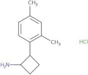 2-(2,4-Dimethylphenyl)cyclobutan-1-amine hydrochloride