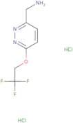 [6-(2,2,2-Trifluoroethoxy)pyridazin-3-yl]methanamine dihydrochloride