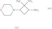 2,2-Dimethyl-3-(morpholin-4-yl)cyclobutan-1-amine dihydrochloride