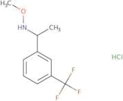 Methoxy({1-[3-(trifluoromethyl)phenyl]ethyl})amine hydrochloride