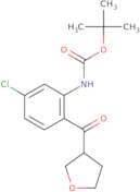tert-Butyl N-[5-chloro-2-(oxolane-3-carbonyl)phenyl]carbamate