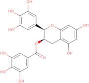 Epigallocatechin gallate