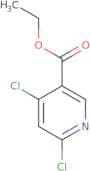 Ethyl 4,6-dichloronicotinate