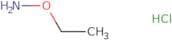 Ethoxyamine hydrochloride