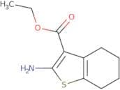 Ethyl 2-amino-4,5,6,7-tetrahydro-1-benzothiophene-3-carboxylate
