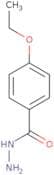 4-Ethoxybenzhydrazide
