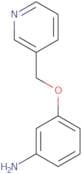 3-(Pyridin-3-ylmethoxy)aniline