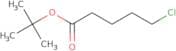tert-Butyl 5-chloropentanoate