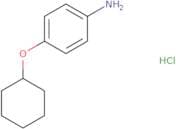 4-(Cyclohexyloxy)aniline hydrochloride