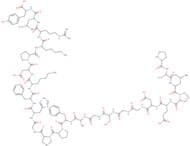 FGF basic (1-24) (human, bovine)