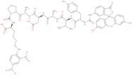 FITC-Tyr-Val-Ala-Asp-Ala-Pro-Lys(Dnp)-OH (Contains FITC isomer I)