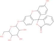 Fluorescein-β-d-glucopyranoside