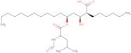 (2S,3S,5S)-5-[(N-Formyl-L-leucyl)oxy]-2-hexyl-3-hydroxyhexadecanoic acid