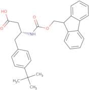 Fmoc-(R)-3-amino-4-(4-tert-butyl-phenyl)-butyric acid