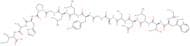 Galanin (1-16) (mouse, porcine, rat)