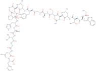 Galanin (1-19) (human)