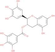 (+)-Gallocatechin gallate