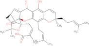 Gambogic acid