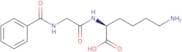 Hippuryl-Lys-OH