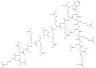 HIV-1 rev Protein (34-50)