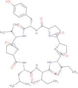 Hymenistatin I Cyclo(-Pro-Pro-Tyr-Val-Pro-Leu-Ile-Ile)