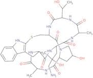 ((R)-4-Hydroxy-4-methyl-Orn7)-phalloidin