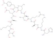 HIV Protease Substrate III