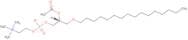1-O-Hexadecyl-2-O-acetyl-sn-glycero-3-phosphocholine