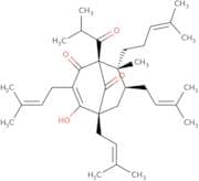 Hyperforin - solution in methanol